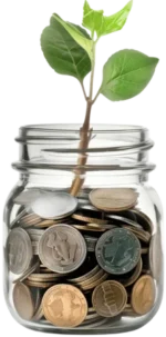 Ένα διαφανές βάζο γεμάτο με κέρματα από τα οποία ξεπροβάλλει ένα κλαδί φυτού με πράσινα φύλλα.